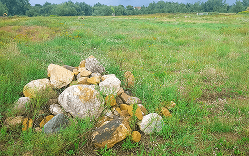 Anlage von Steinhaufen zum Erhalt und Entwicklung des artenreichen Grünlandes in Hondelage | LOTTO Niedersachsen