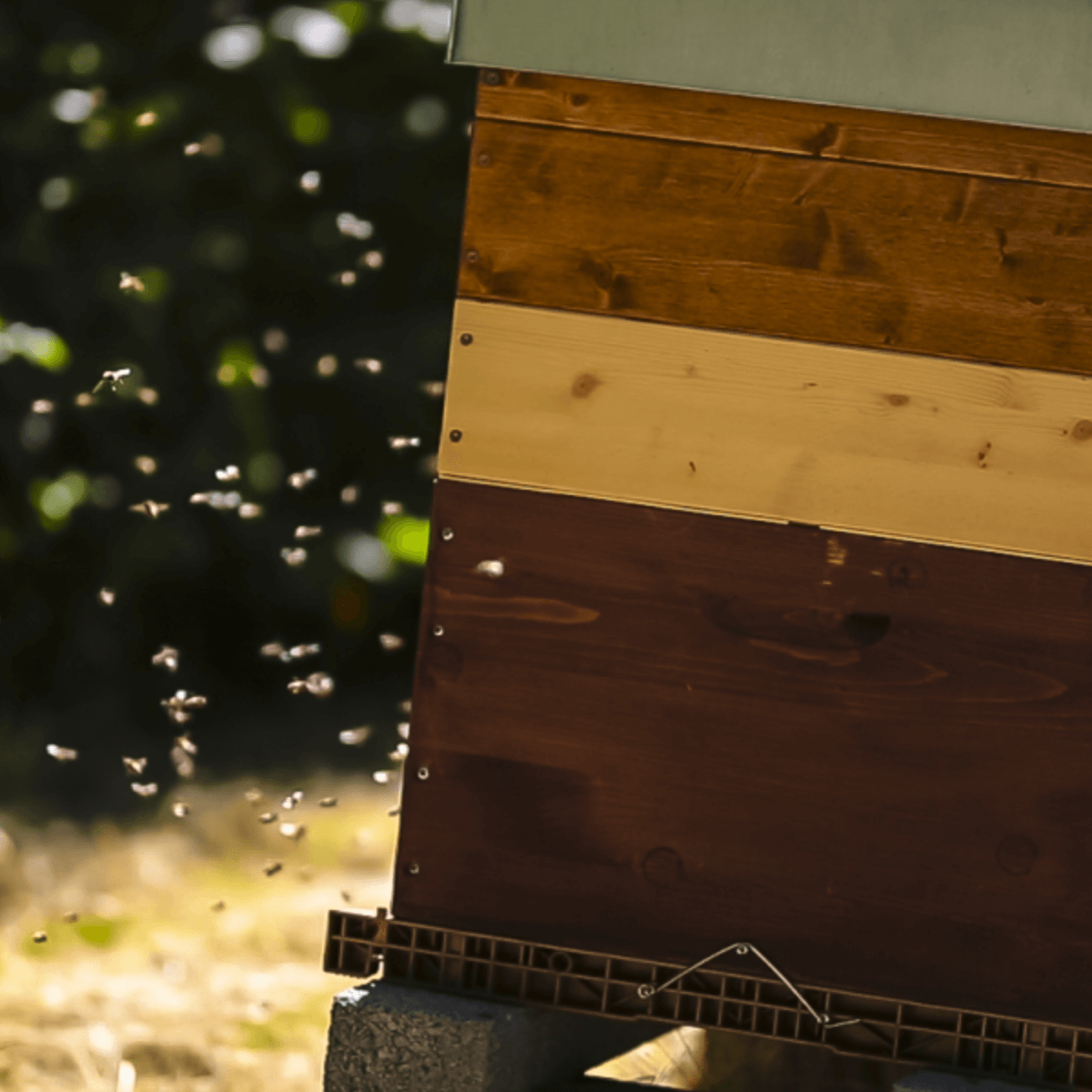 Detailansicht Bienen-Beute vor der Firmenzentrale Hannover | LOTTO Niedersachsen
