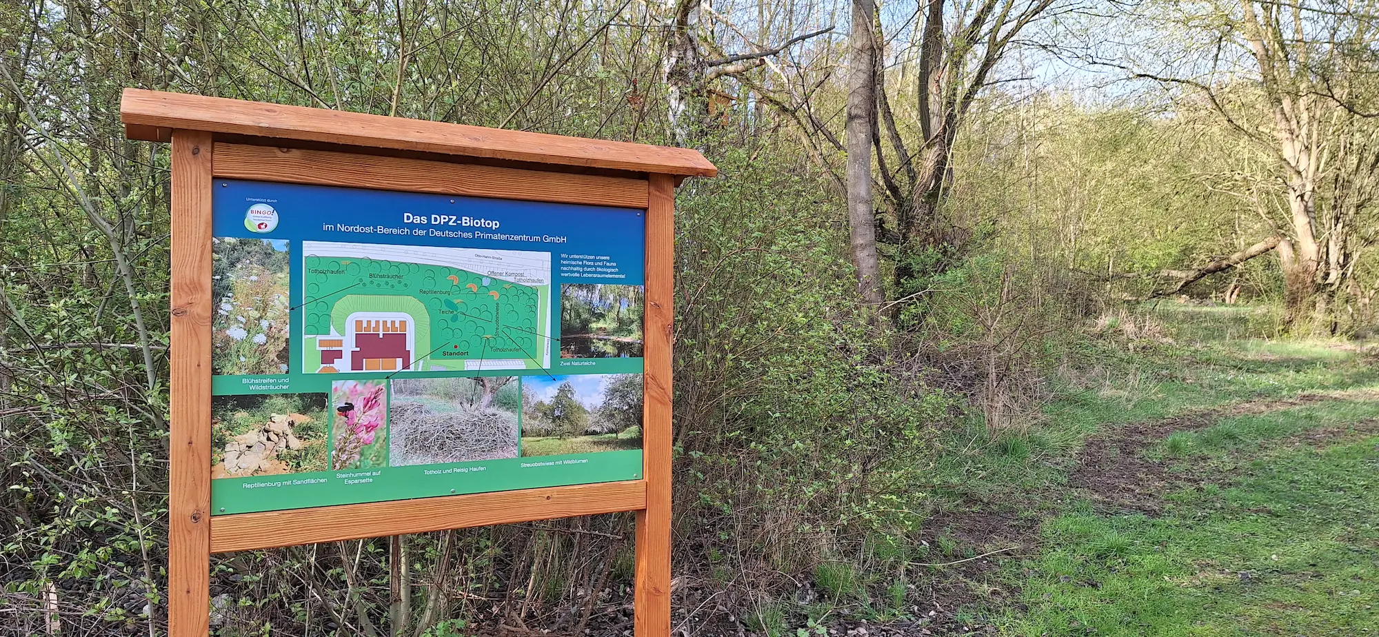 dpz-infotafel-eingang