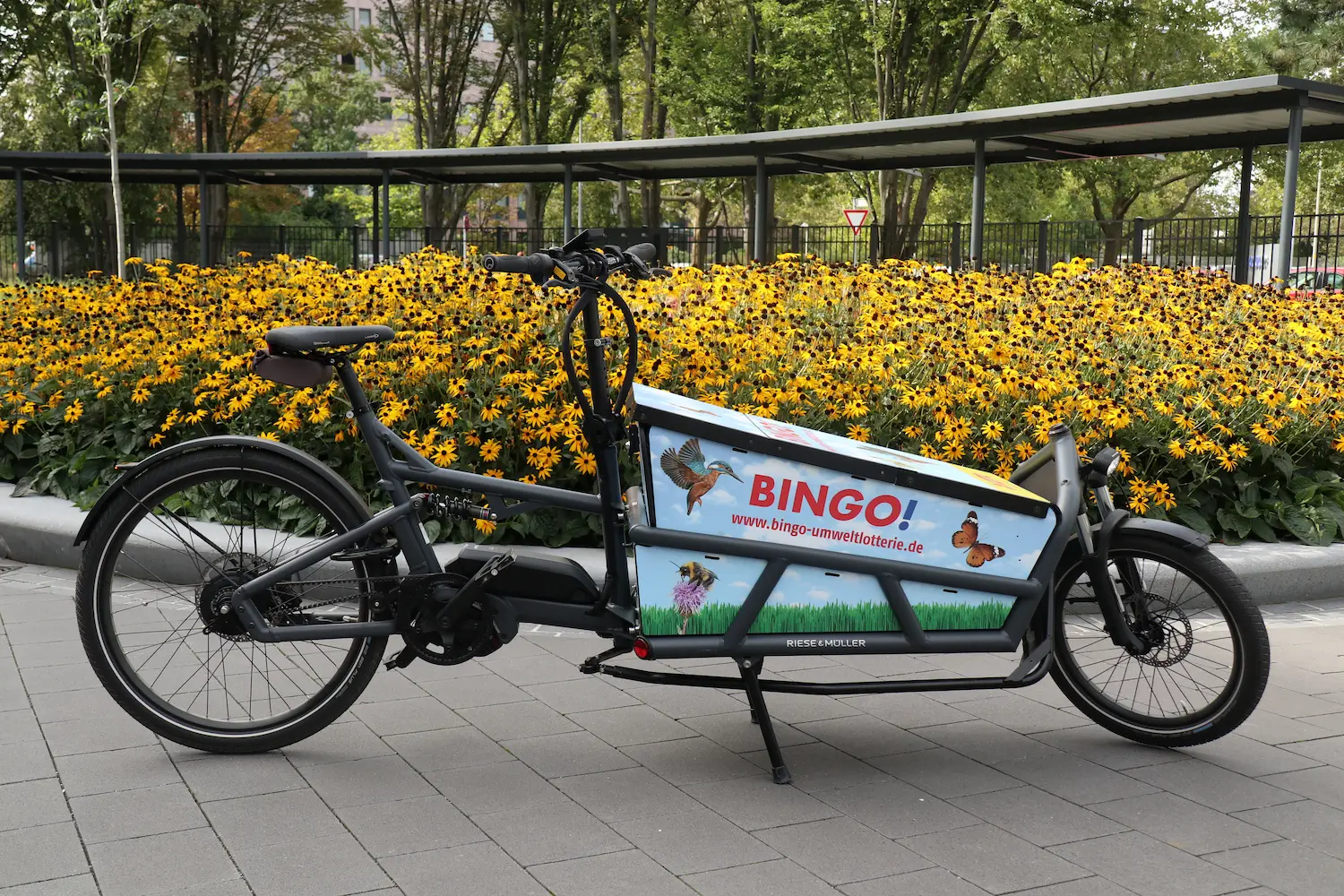BINGO!-Lastenrad