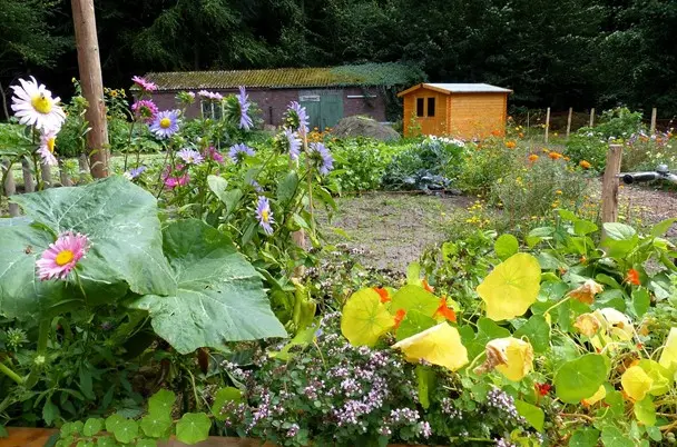 Der Mitmachgarten des Vereins Naturschutzhof Wittmunder Wald.