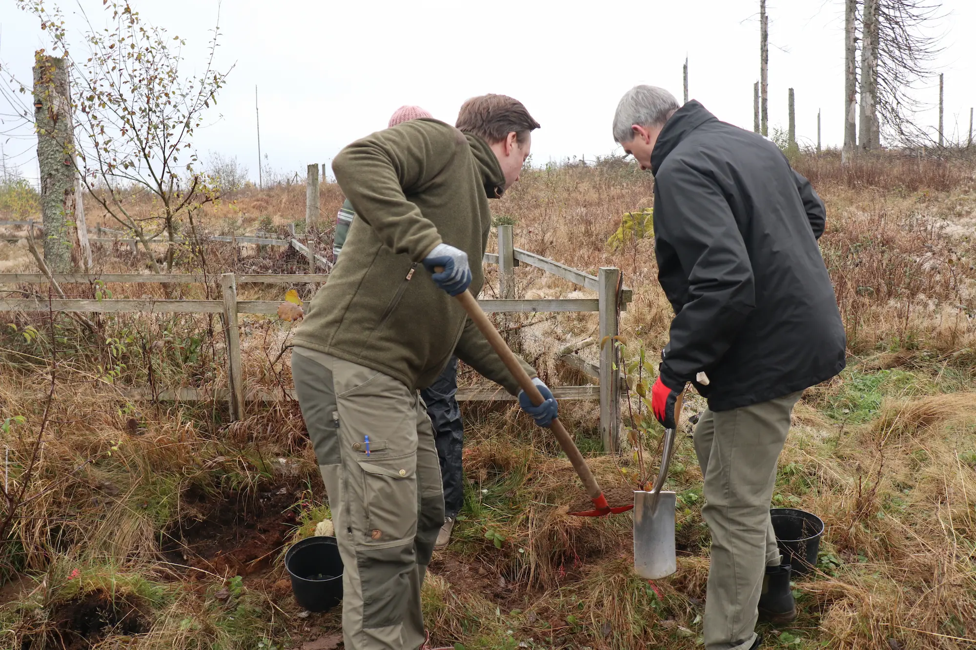 bingo-naturschutzinitiative-harz-baumpflanzung