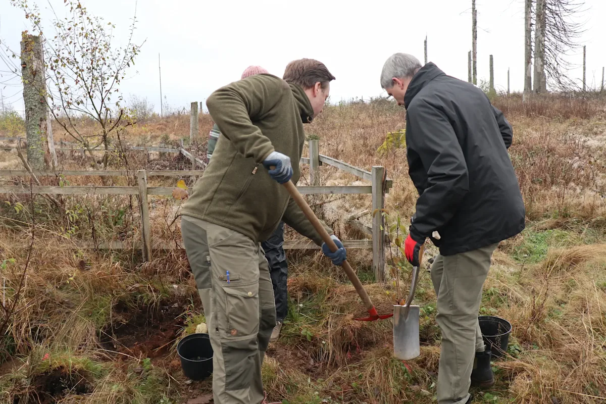 bingo-naturschutzinitiative-harz-baumpflanzung